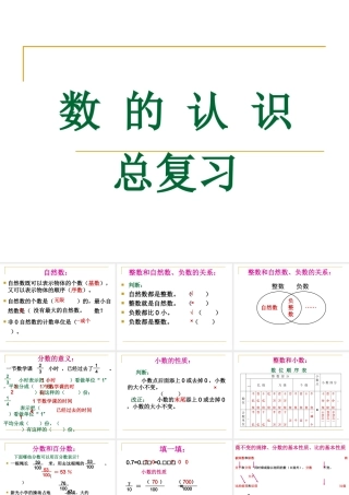 数的认识复习