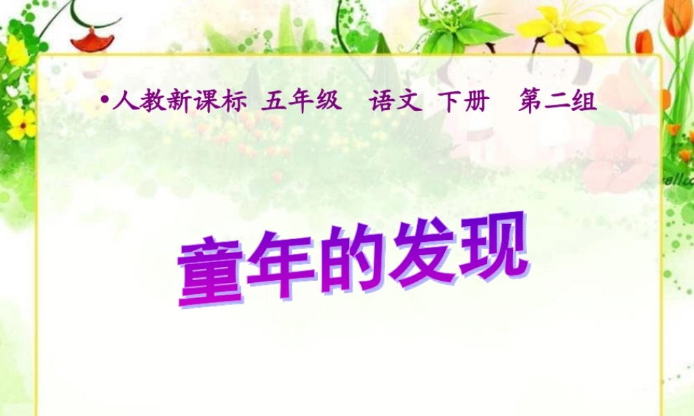 童年的发现课件3