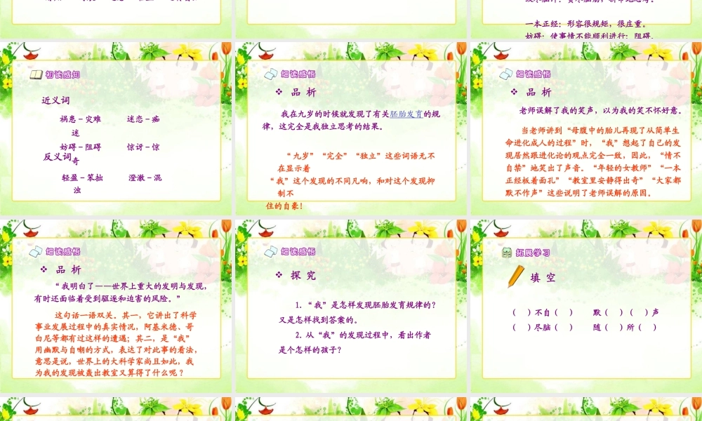 童年的发现课件3