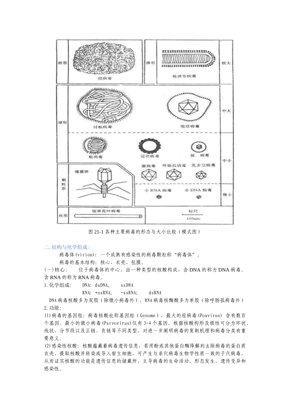 医学病毒学解析_第2页