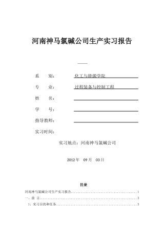 河南神马氯碱化工股份有限公司实习报告