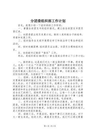 分团委组织部工作计划 