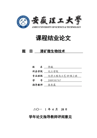 浸矿微生物技术