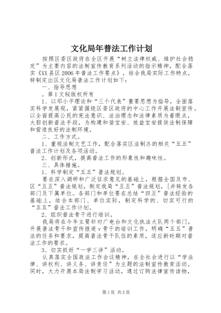 文化局年普法工作计划 