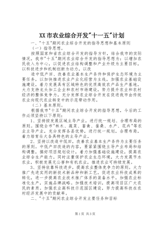 XX市农业综合开发-十一五-计划 
