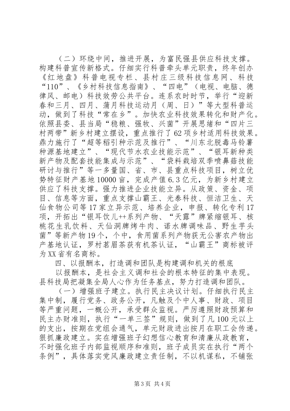 科技局品牌打造经验与体会_第3页