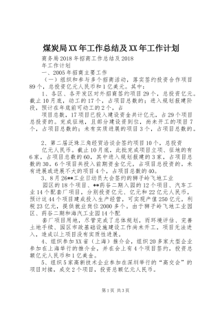 煤炭局XX年工作总结及XX年工作计划 