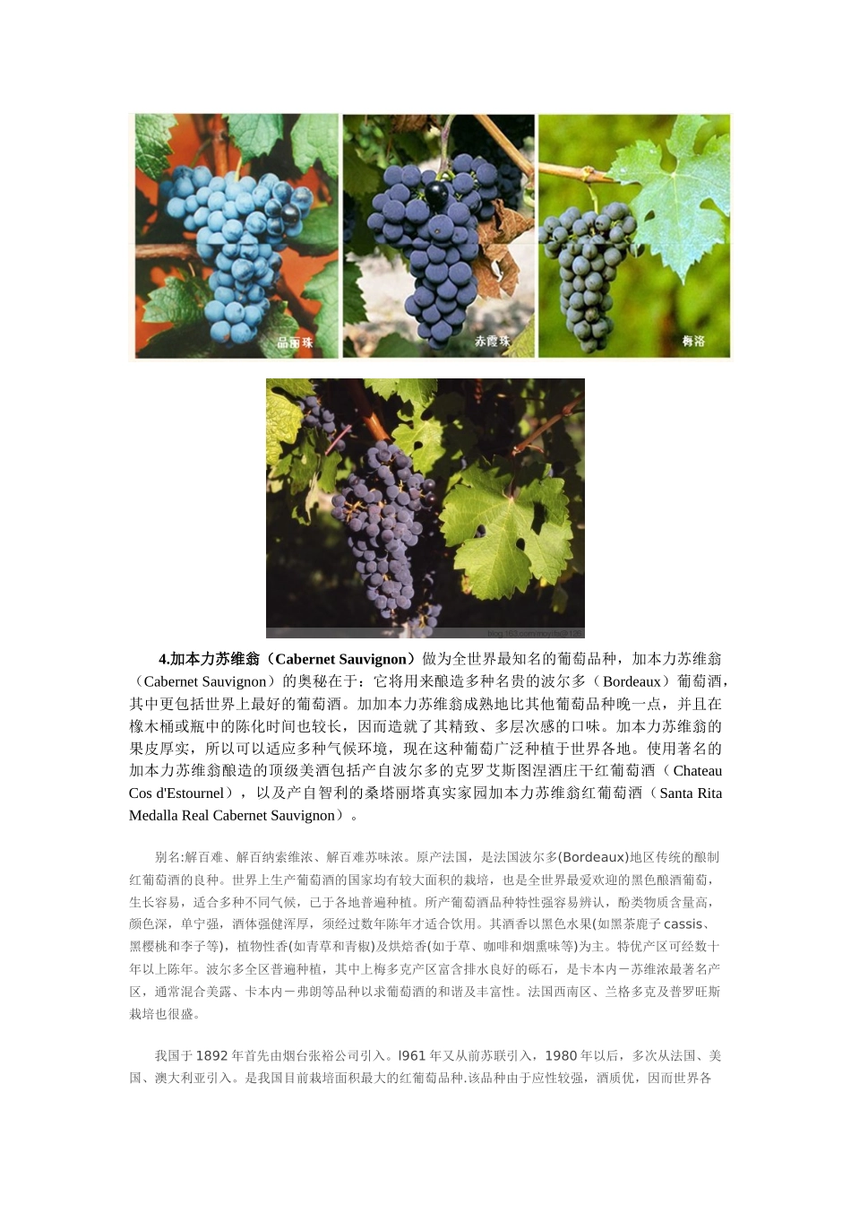 9葡萄酒与葡萄_第2页