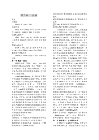6 核酸--生物化学考研辅导笔记通用版