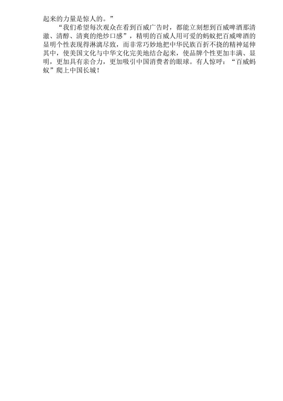 某啤酒的品牌个性化策略_第3页