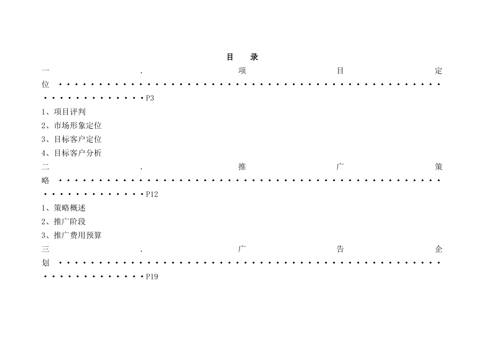 上海某地产集团21城项目策划全案_第1页