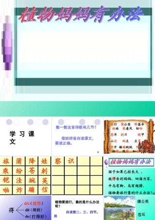 《植物妈妈有办法》课件