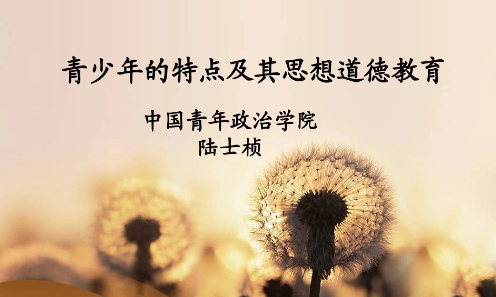青少年思想道德（130425）