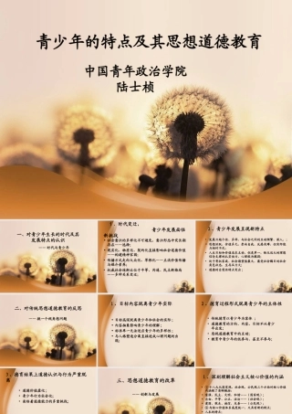 青少年思想道德（130425）