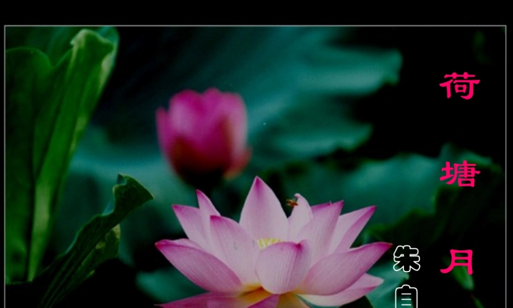 《荷塘月色》优秀课件