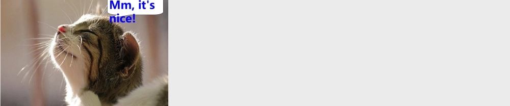 外研社四年级上册Unit1Doyouwantsomerice（PPT原创）