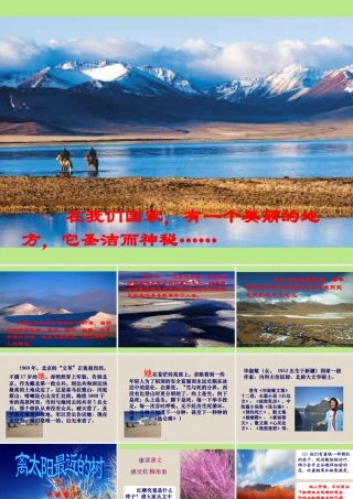 离太阳最近的树