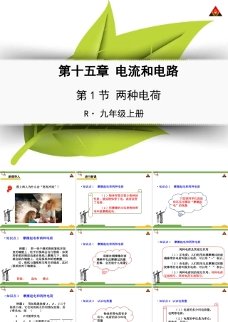 第1节两种电荷