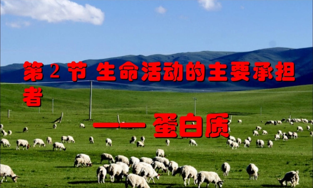 《生命活动的主要承担者——蛋白质》