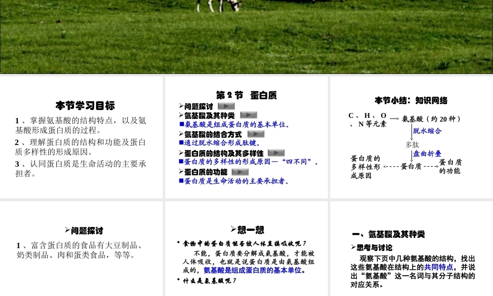《生命活动的主要承担者——蛋白质》