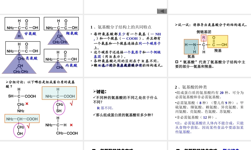 《生命活动的主要承担者——蛋白质》