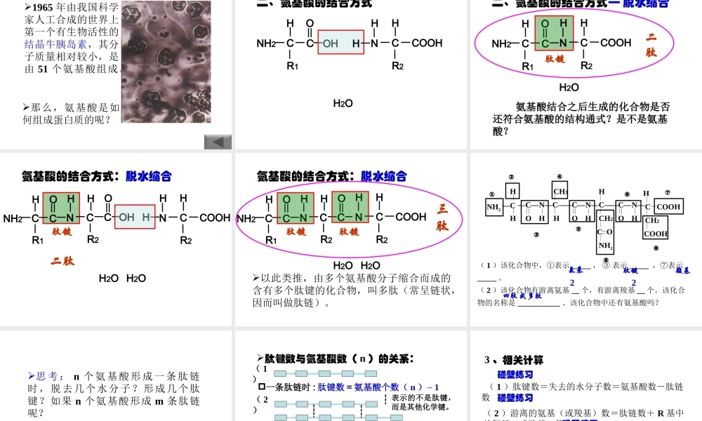 《生命活动的主要承担者——蛋白质》
