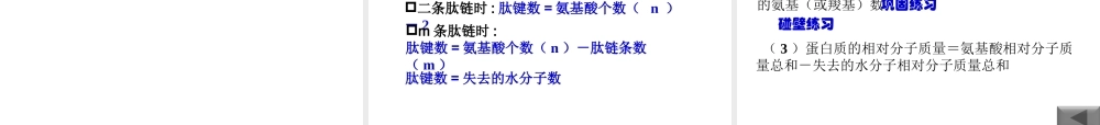 《生命活动的主要承担者——蛋白质》