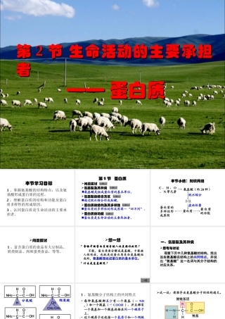 《生命活动的主要承担者——蛋白质》