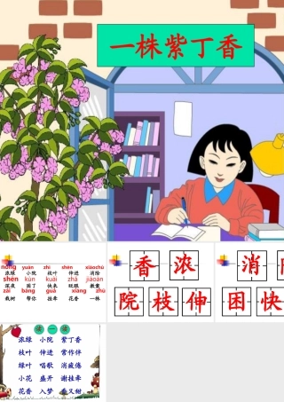 二年级语文一株紫丁香