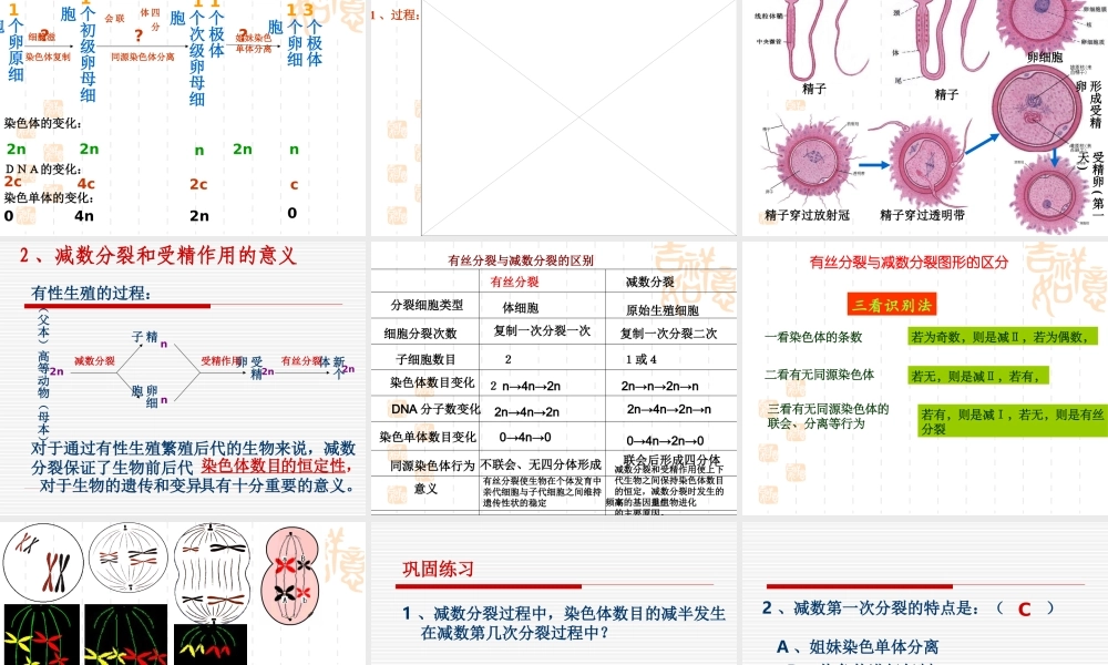 第1节nbsp减数分裂与有性生殖细胞的形成