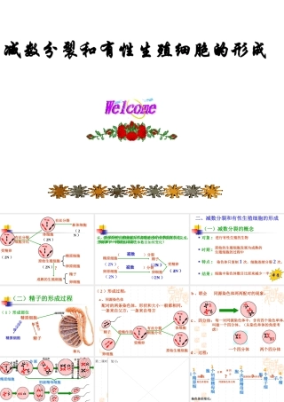 第1节nbsp减数分裂与有性生殖细胞的形成