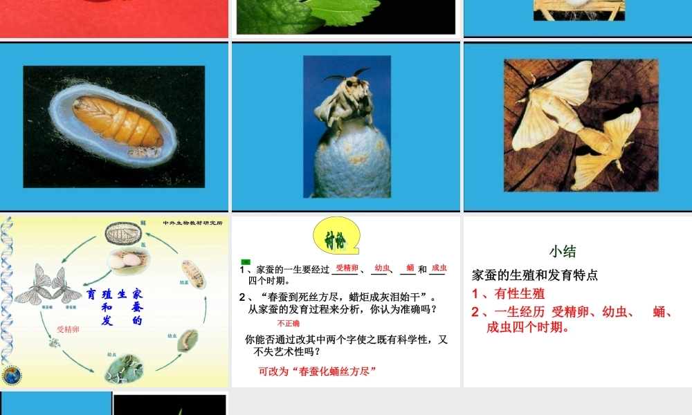 昆虫的生殖和发育 (2)