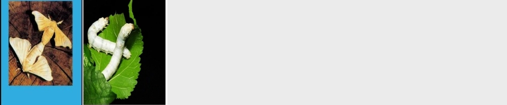 昆虫的生殖和发育 (2)