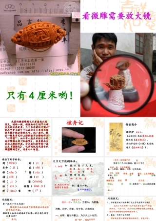 初中二年级语文上册第五单元23核舟记(魏学洢)第二课时课件