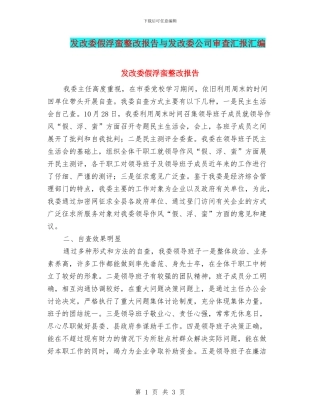 发改委假浮蛮整改报告与发改委公司审查汇报汇编