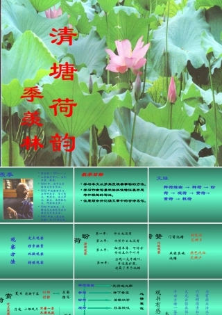 清塘荷韵PPT课件
