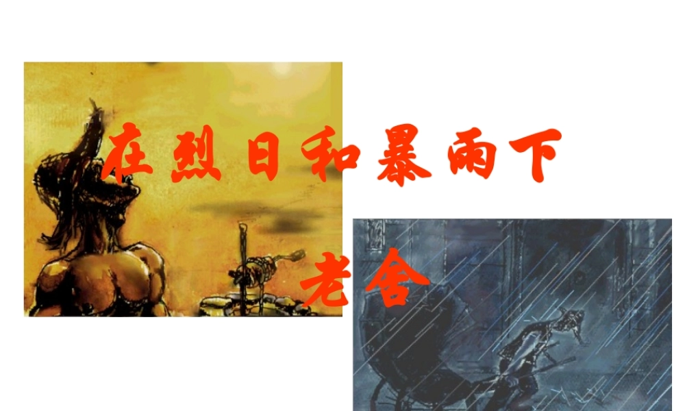 在烈日和暴雨下(1)