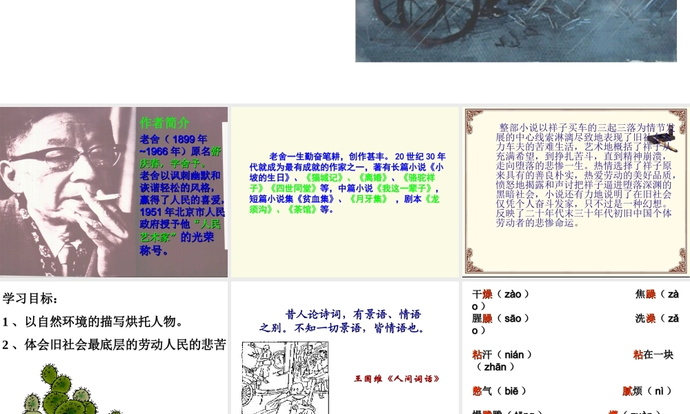 在烈日和暴雨下(1)