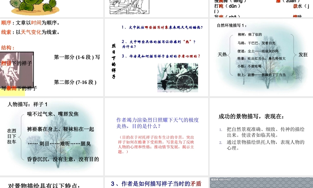 在烈日和暴雨下(1)