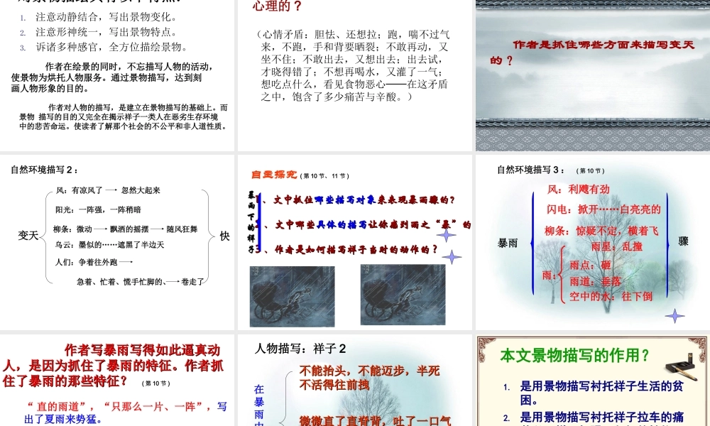 在烈日和暴雨下(1)