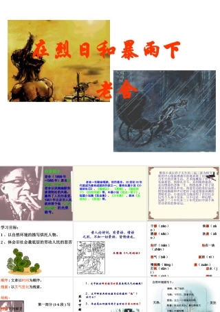 在烈日和暴雨下(1)