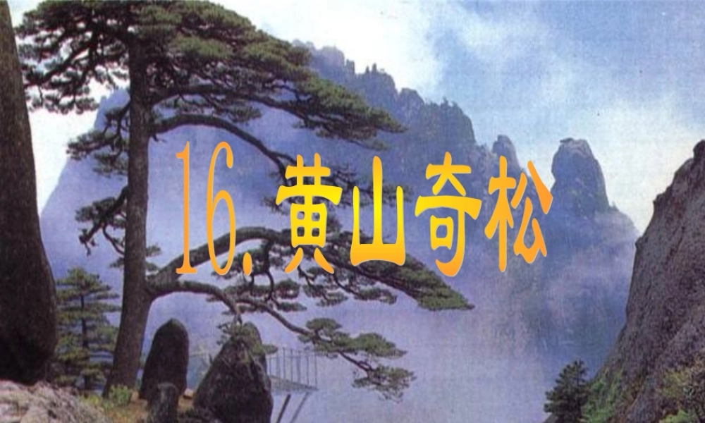 黄山奇松课件 (2)