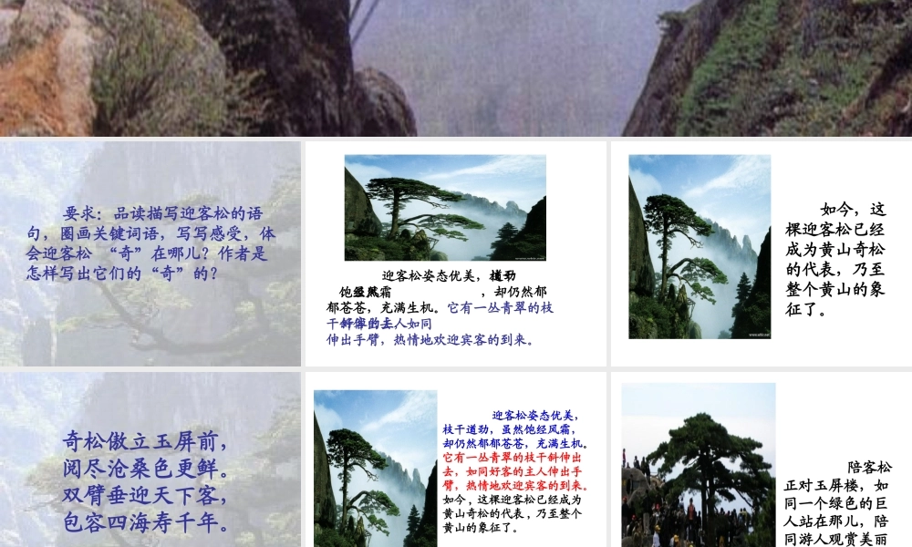 黄山奇松课件 (2)