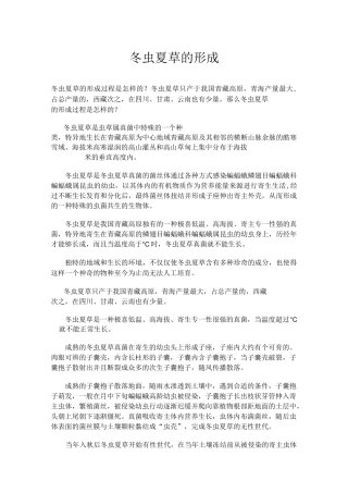 冬虫夏草的形成