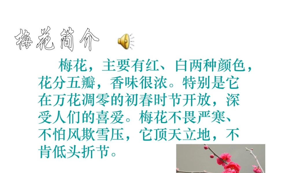《梅花魂》课件6 (3)