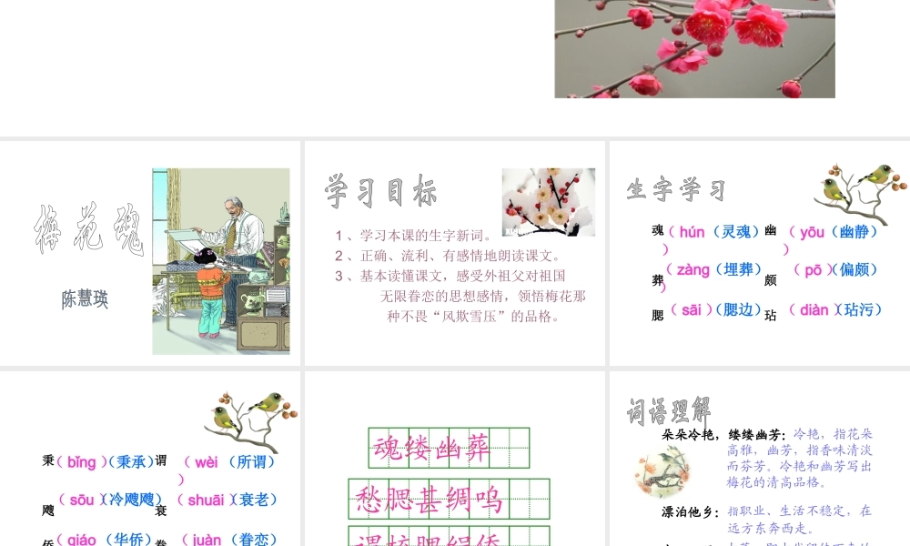 《梅花魂》课件6 (3)