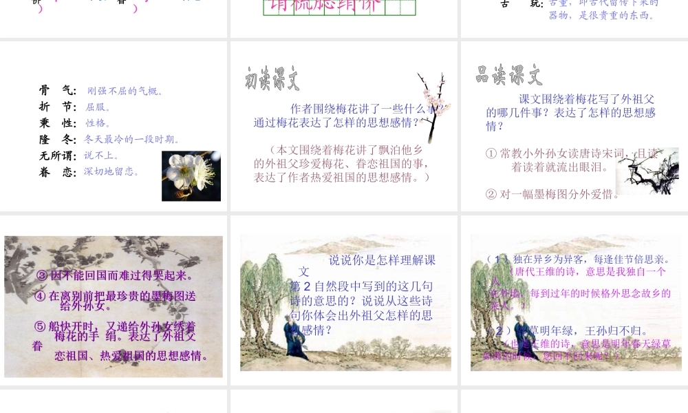 《梅花魂》课件6 (3)