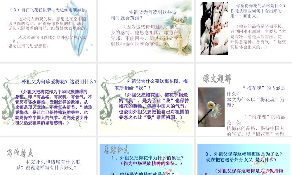 《梅花魂》课件6 (3)