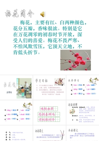 《梅花魂》课件6 (3)