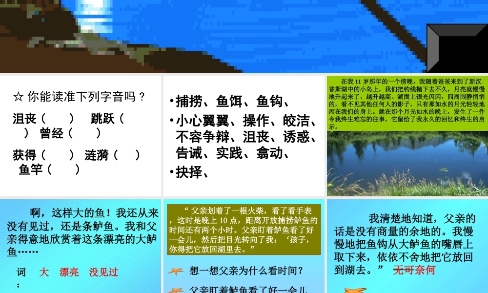 《钓鱼的启示》课件4 (2)